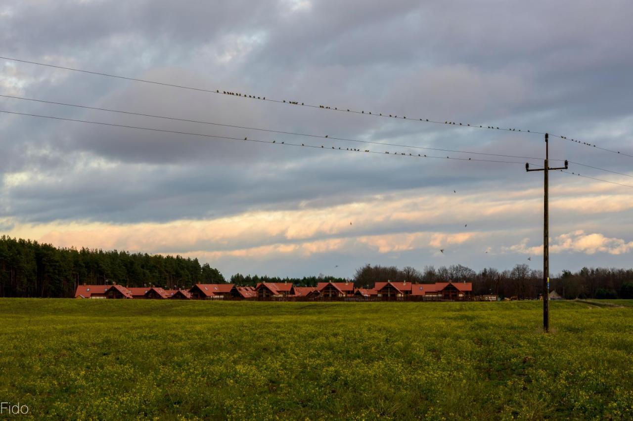 Villa Kaszubska Odskocznia Ostoja Bukowo Borowy Mlyn Exterior foto