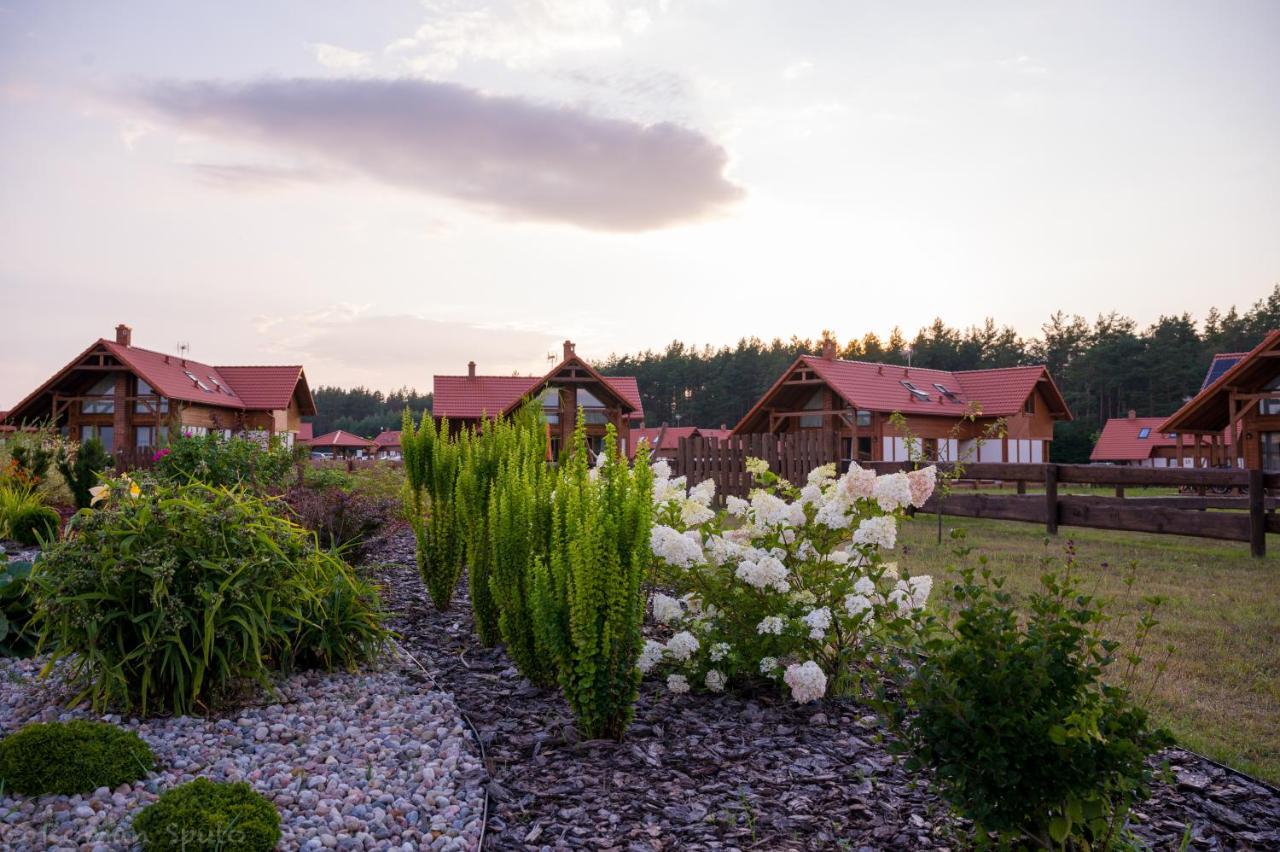 Villa Kaszubska Odskocznia Ostoja Bukowo Borowy Mlyn Exterior foto